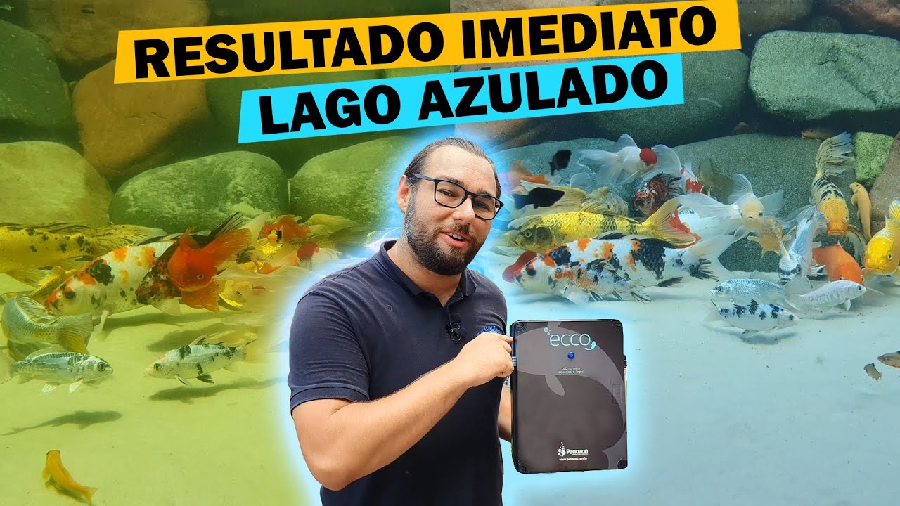 OZÔNIO NOVO NO MEU LAGO - RESULTADO INCRÍVEL (ÁGUA AZULADA) - PASSO A PASSO ANTES E DEPOIS