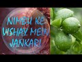 Nimbu Ko Kaise Bali Diya Jata Hai 