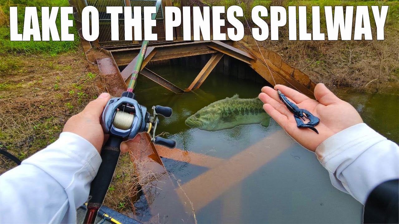 LAKE O THE PINES SPILLWAY Fishing For Big Fall Bass!