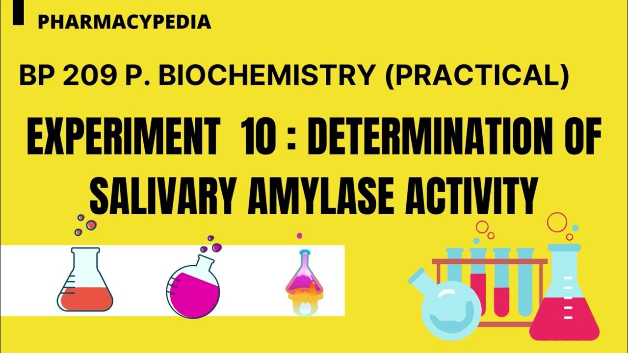 EXPERIMENT 10 Determination Of Salivary Amylase Activity experiment-10-determination-of-salivary-amylase-activity