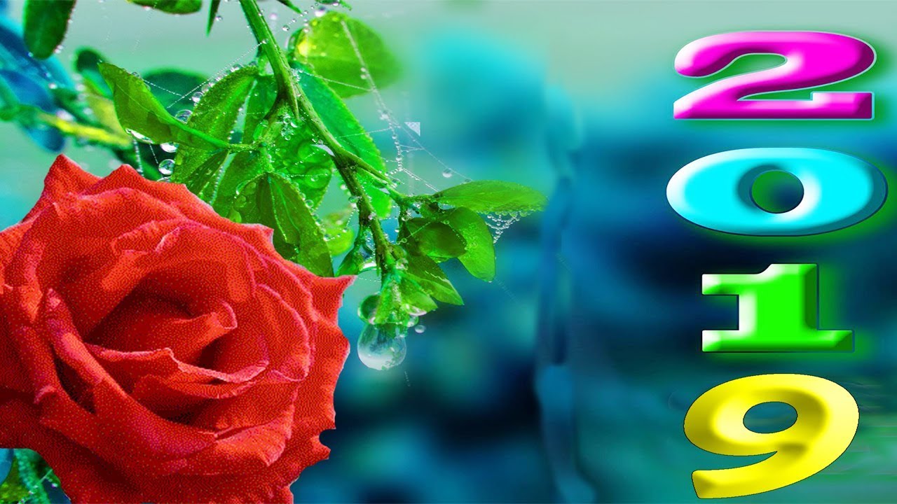 Happy New Year 2019 Images Pictures