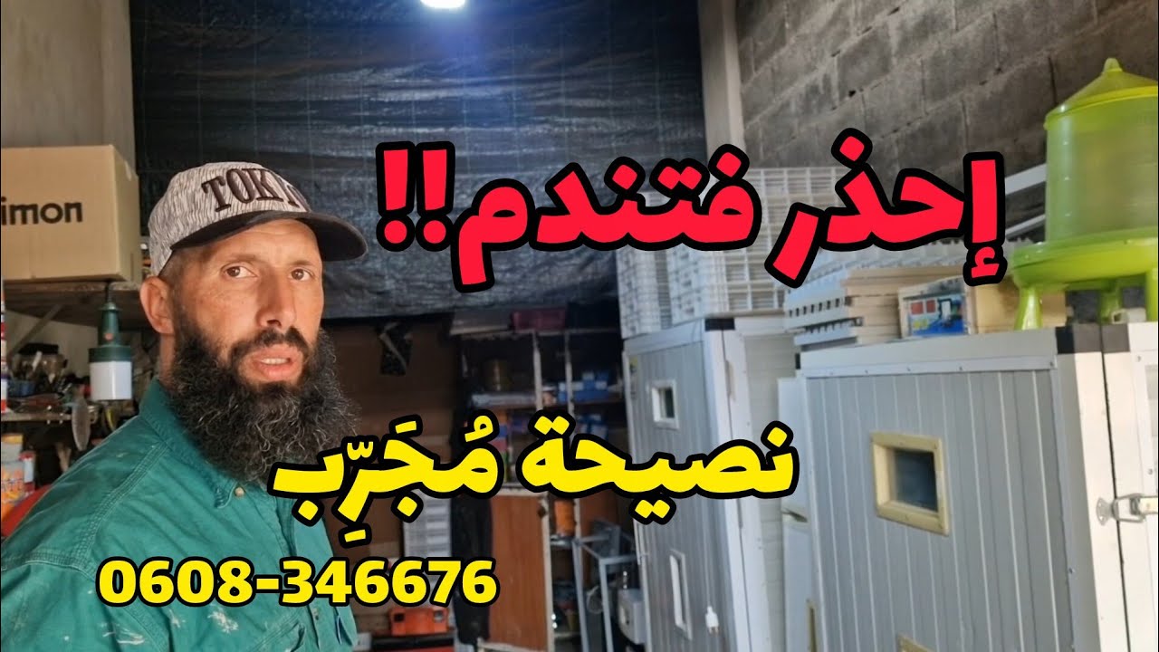مشروع تربية وتفقيس الصيصان مربح لكن إحذر من هذه الأمور للتواصل 0608346676