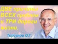 Две причины ВСЕХ проблем и ТРИ дороги жизни.  Торсунов О.Г.