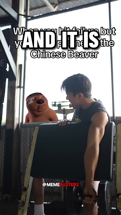 The Origin Of Chinese Beaver Meme
