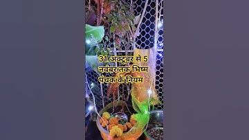 2025 कार्तिक मास में भिष्म पंचक कब है और क्या नियम है #kartikmaas #kartik #trending #shortvideo