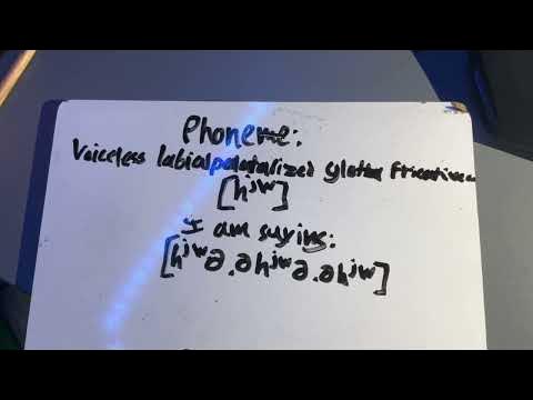 (Phone) [hʲʷ] voiceless labialpalatalized glottal fricative consonant