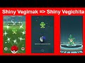 Shiny vegimak zu shiny vegichita entwickelt  pokemon go deutsch 365
