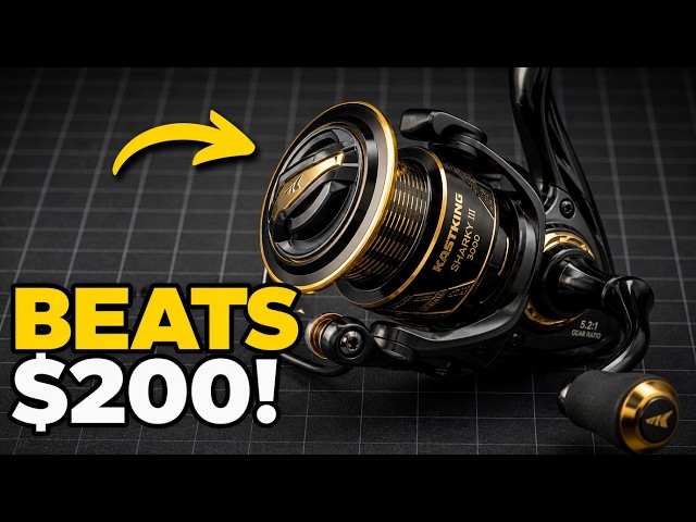 california 50 fishing reels 50W 2-Speed Twin Drag Reel With a heavy duty ultra tough design The Ultimate Southern California Offshore