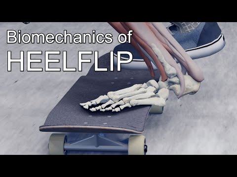 Heelflip Trouble Shooting - Land every try with science thumbnail