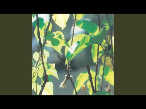 Jav Jav — Ameni Nare