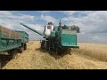 Продолжение уборки пшеницы  Комбайном нива СК