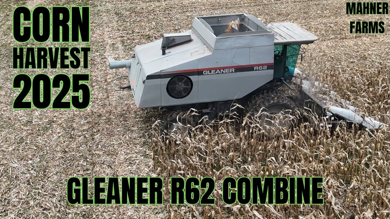 Gleaner R62 (Cummins) на уборке кукурузы 2025 года в Висконсине