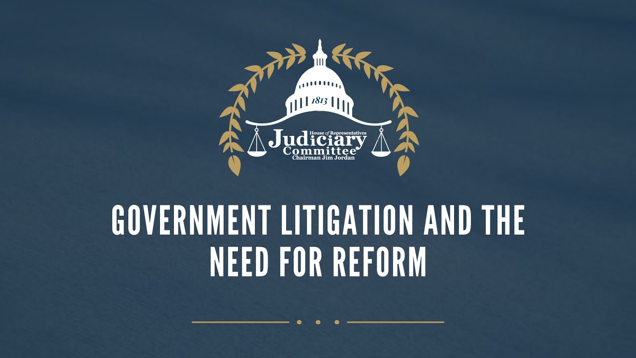 Government Litigation and the Need for Reform