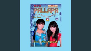 Download Lagu Manuk Ora Manggung