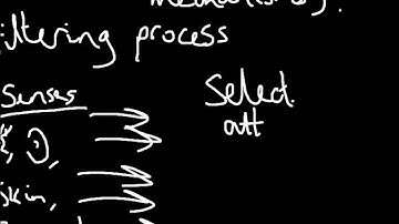 Information Processing