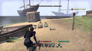 Esotu - Ps4 Random Purple Loot