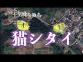忌み地か?不気味な地名「猫シタイ」について【調査動画】