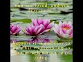 If nobody #quotes #motivation #love #shortsviral #shorts