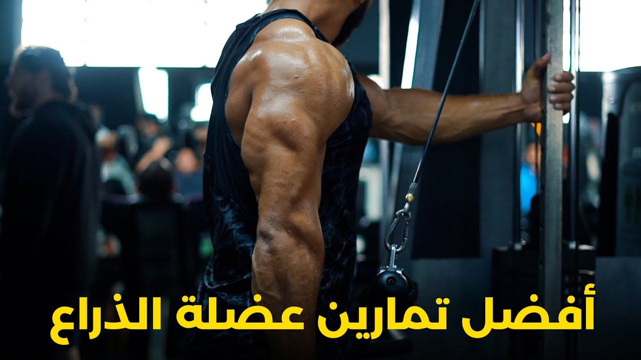THE BEST ARMS EXERCISES - سلسلة تمرن بدون مدرب الجزء الثاني