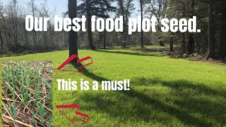 Is this the best food plot seed for deer?