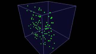 Bsim 2009 Magnetotaxis