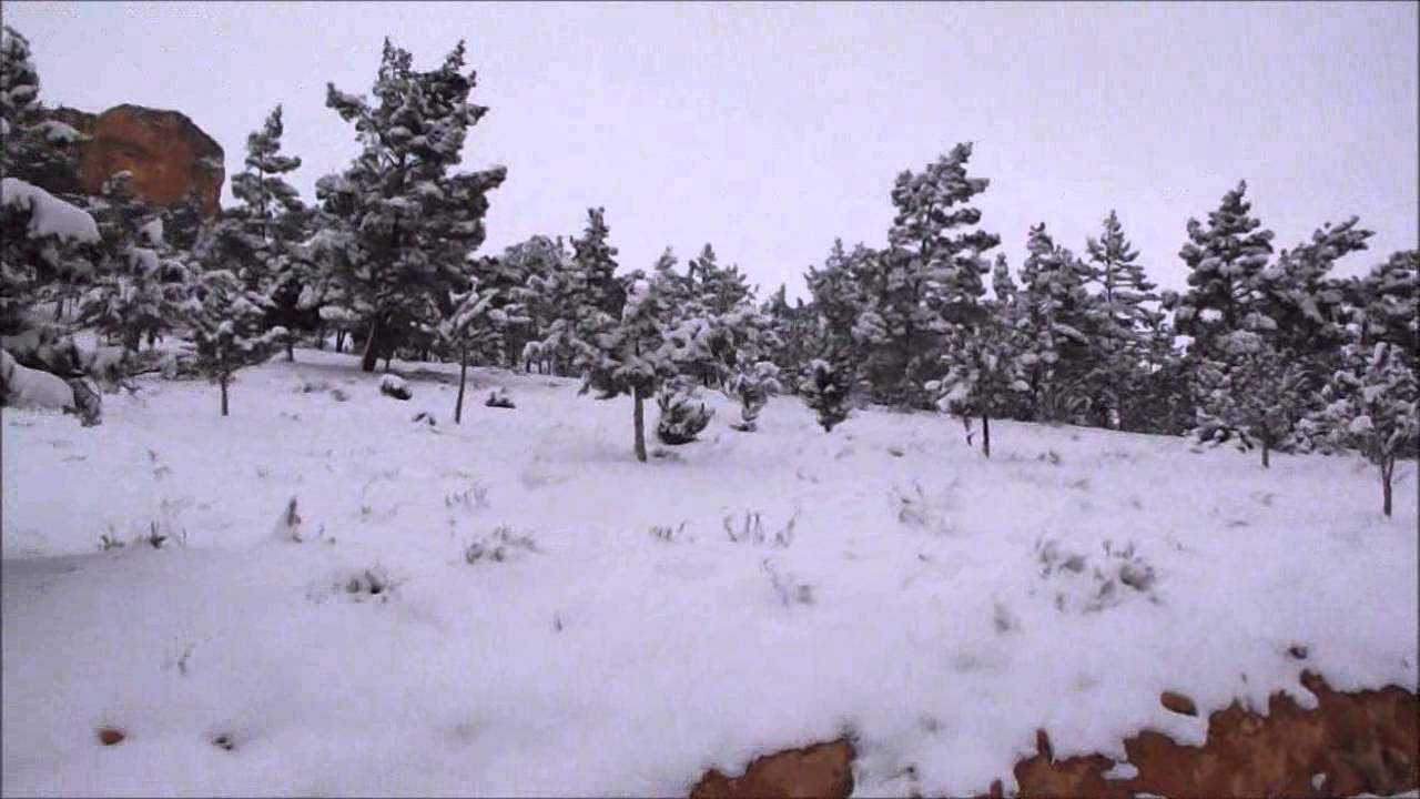 يبرود تكسوها الثلوج وتلبس ثوبها الأبيض - 3-2-2014