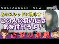 乃木坂46のOG-深川麻衣に対して失礼なスレッドを発見したので吠えてみた|乃木坂PLUS・乃木坂工事中・深川麻衣♪