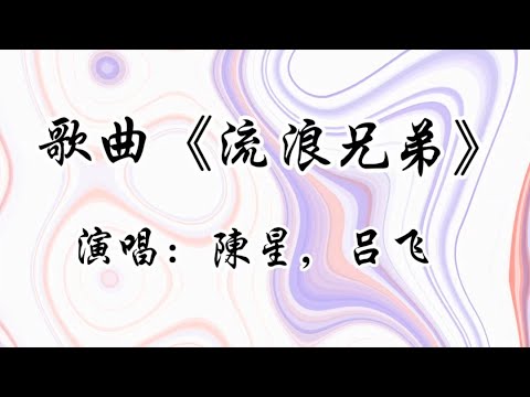 歌曲《流浪兄弟》 #诗与远方