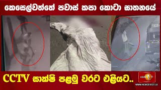 කසලවතත පවස කප කට ඝතනය Cctv සකෂ පළම වරට එළයට..