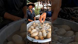 Jumbo Soft, Protein-Rich Caterpillars: A Unique Asian Market!@muhibbudinfood-ai screenshot 4