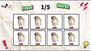 Say The Word On Beat Challenge | Level 1 - 5 | Level Easy to Insane screenshot 1