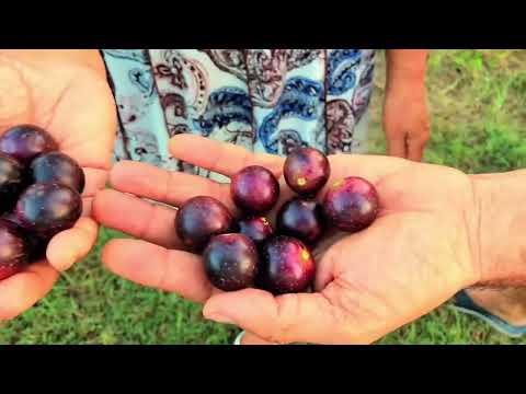 Uchee Pines Improving Health Conference, 2026, Part 3: "Wars Over Dietary,"  Chad Kreuzer