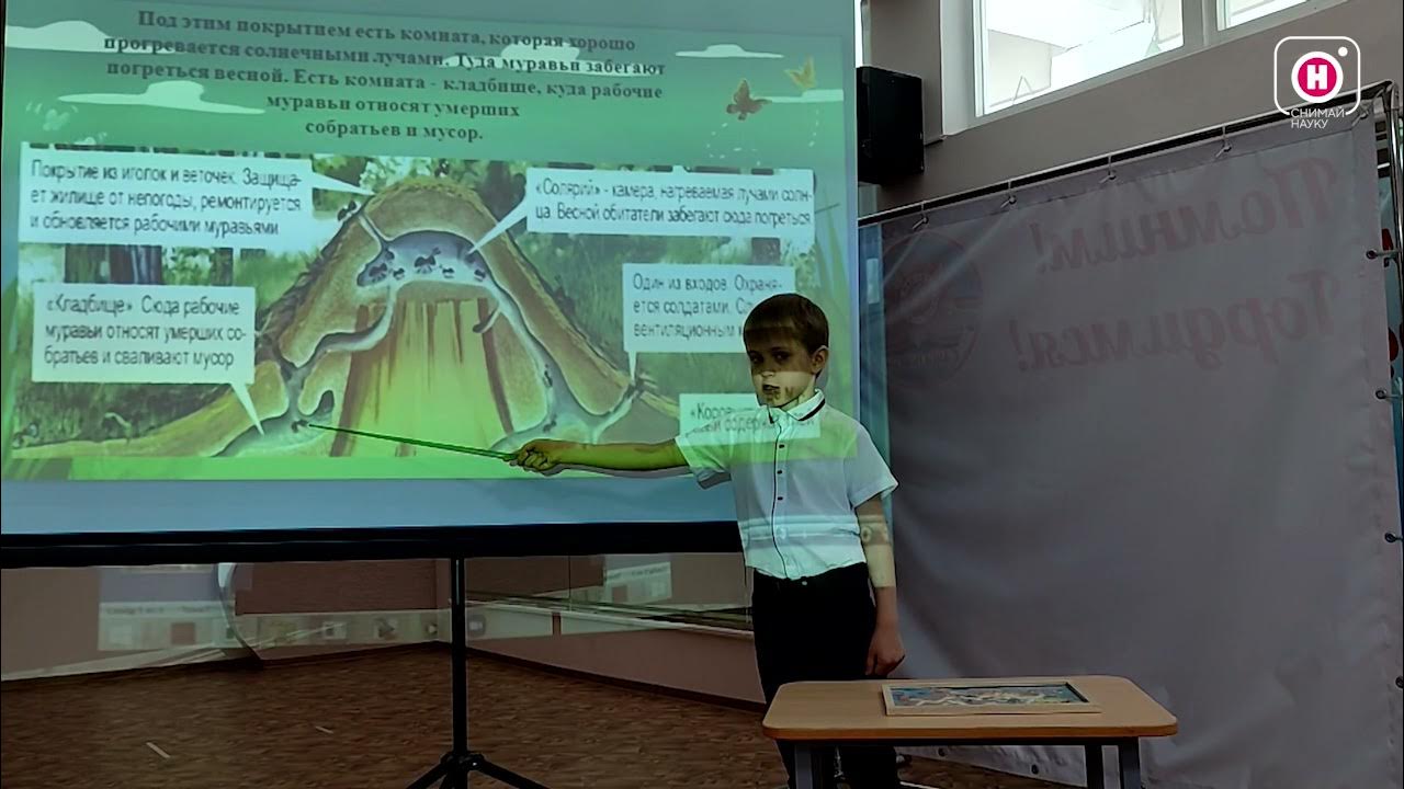 Муравейник конкурс. Муравейник конкурс исследовательских работ 2025.