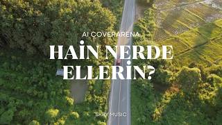 AI COVERARENA - Hain Nerde Ellerin?