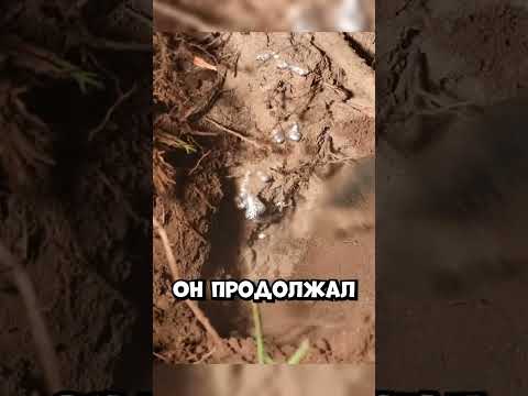 Парень залил муравейник алюминием и показал скрытую под землёй красоту #shorts