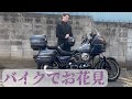 バイクでお花見! Vlog72