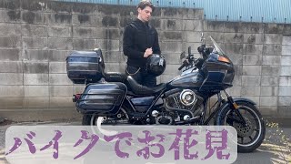 バイクでお花見！　Vlog72