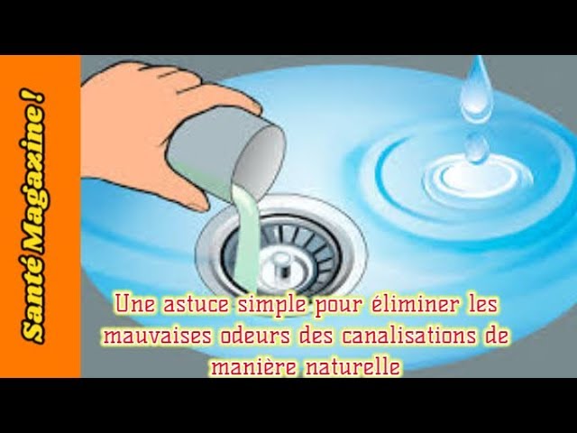 Odeurs de canalisation : l'astuce super efficace pour les éviter : Femme  Actuelle Le MAG