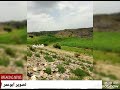 صور من قطنان الشيوحي صور من قطنان الشيوحي