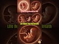 Baby development in the womb🤰 early pregnancy baby growth #ytshorts #ultrasound