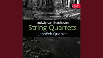Beethoven: String Quartet No. 6 in B flat major, Op. 18 - III. Scherzo - Allegro