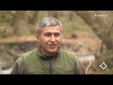 ბუნების კანონი-საქართველოს ტყის კოდექსი