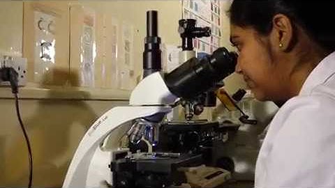 Microbial Biotechnology