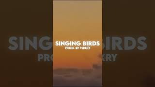 (free) feel good lofi beat | singing birds (prod. by tokry)#short