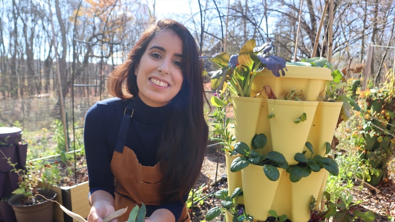 Где я был в последнее время… (и осенние новости сада)