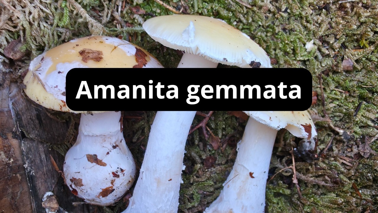 2026 02 24 071515783