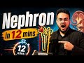 Nephron in 12 mins 🚀| Class 10th Biology | Life processes 🧬