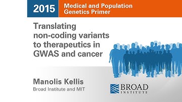 MPG Primer: Translating non-coding variants to therapeutics in GWAS and cancer (2015)