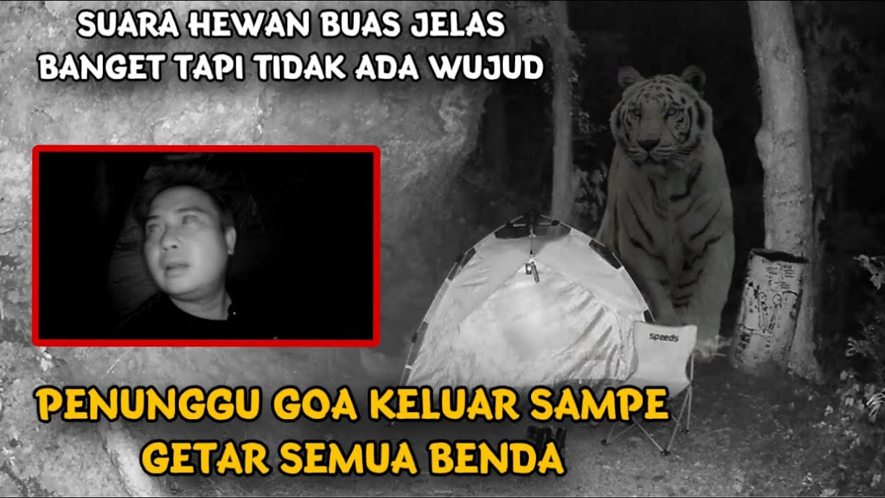 CAMPING HOROR ! BERMALAM DI GUNUNG ANGKER PENGHUNI GOA KELUAR BENERAN DENDENNY HAMPIR PASRAH