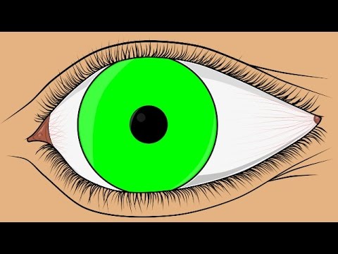 Animated Human Eye Transitions ~ Green Screen - YouTube